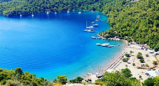 Dalaman Transfer